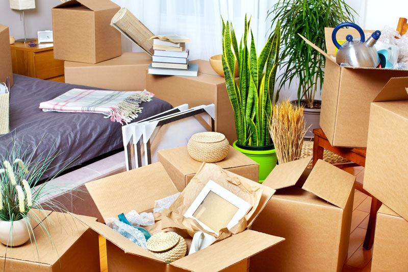 Check Out These Moving Tips to Avoid Common Mistakes