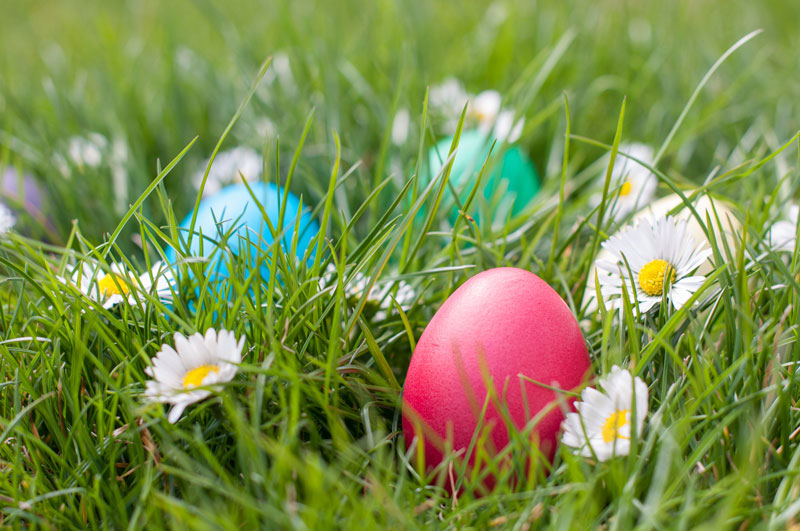 Easter Egg Hunts Throughout the Conejo Valley for Springtime Fun
