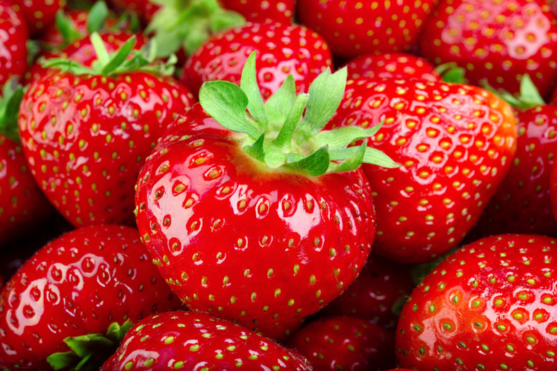 Come to the 34th Annual California Strawberry Festival for Fun for the Whole Family