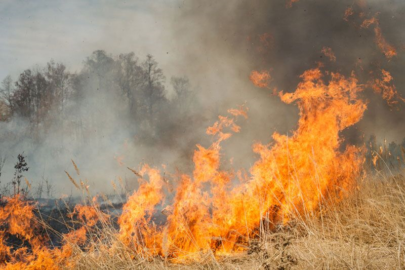 What You Can Learn from the California Wildfires