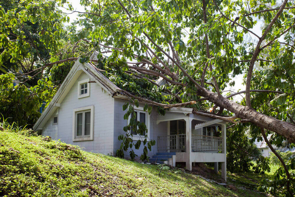 Will My Homeowners' Insurance Provide Coverage from Storm Damage?